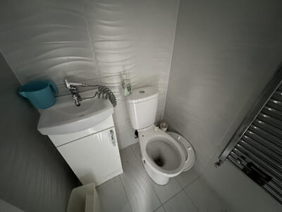 Picture 12